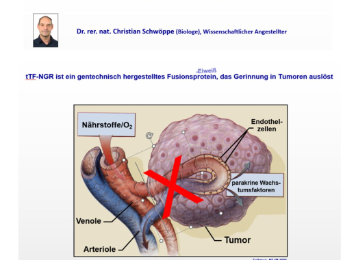 Fortschritte in der Krebsmedizin – und der Vorgang dahinter